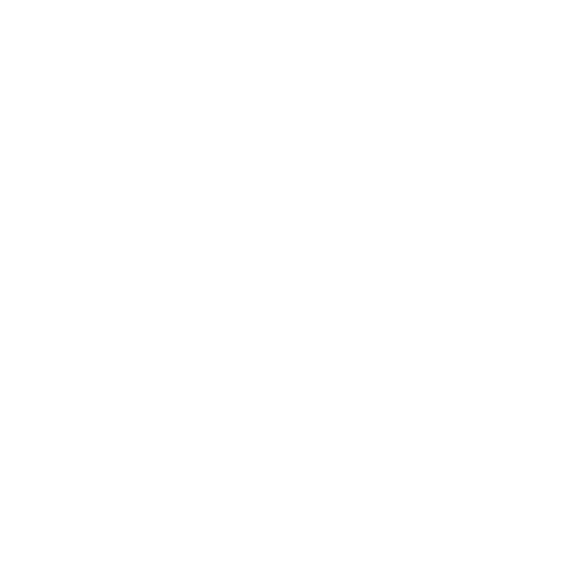 +20 Anos de Experiência